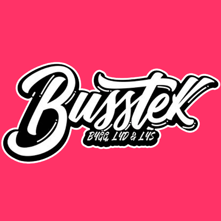 Busstek